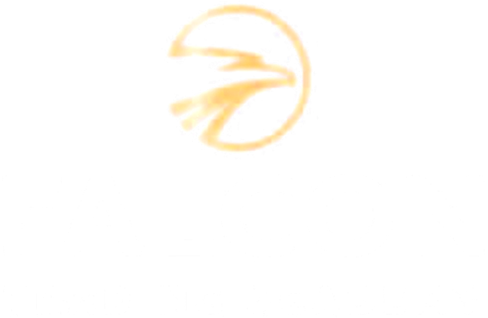 Falcon Trading Academy